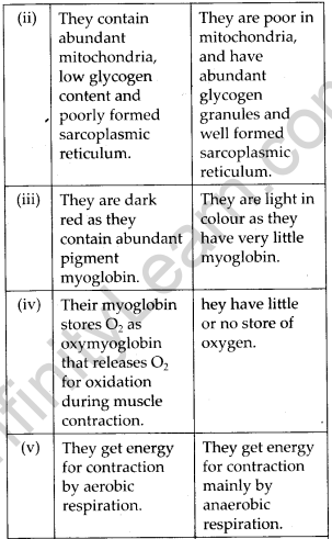 NCERT Solutions For Class 11 Biology Locomotion and Movement Q5.2