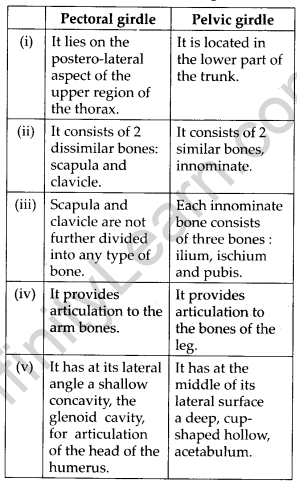 NCERT Solutions For Class 11 Biology Locomotion and Movement Q5.4
