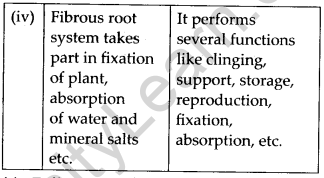 NCERT Solutions For Class 11 Biology Morphology of Flowering Plants Q6.2