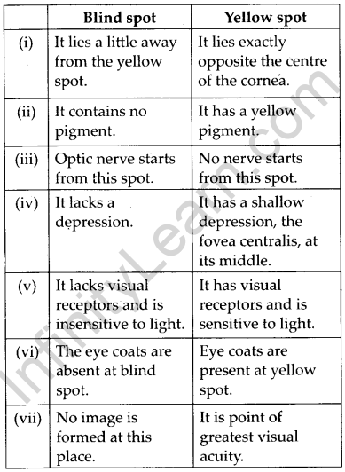 NCERT Solutions For Class 11 Biology Neural Control and Coordination Q12.3