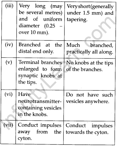 NCERT Solutions For Class 11 Biology Neural Control and Coordination Q9.2