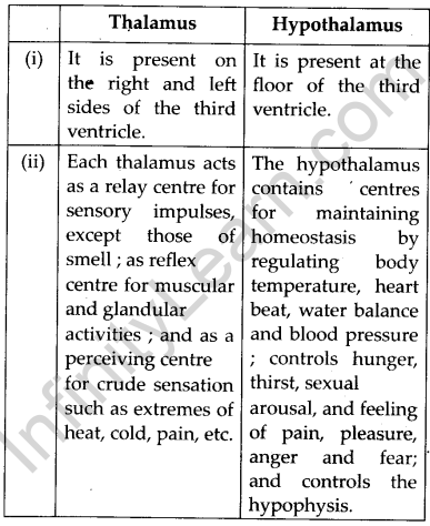 NCERT Solutions For Class 11 Biology Neural Control and Coordination Q9.4