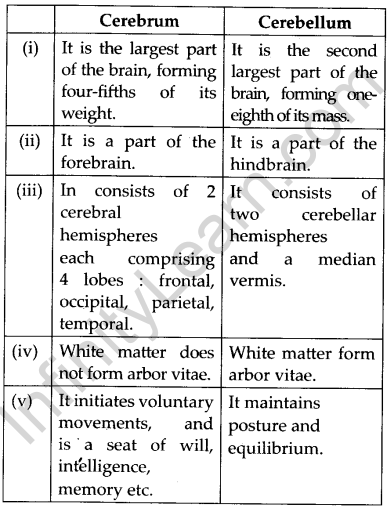 NCERT Solutions For Class 11 Biology Neural Control and Coordination Q9.5