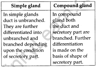 NCERT Solutions For Class 11 Biology Structural Organisation in Animals Q12.5