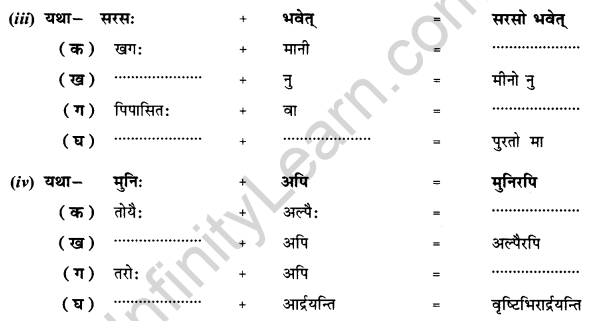 NCERT Solutions for Class 10 Sanskrit Shemushi Chapter 12 अनयोक्त्यः 2