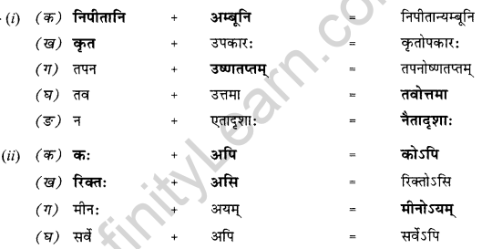 NCERT Solutions for Class 10 Sanskrit Shemushi Chapter 12 अनयोक्त्यः 3