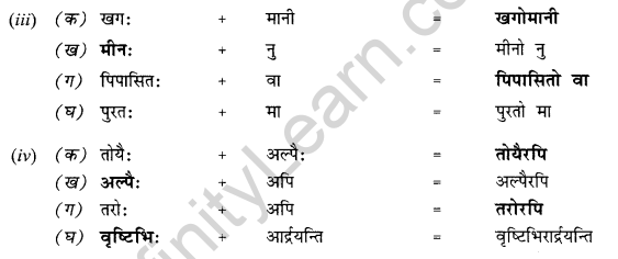 NCERT Solutions for Class 10 Sanskrit Shemushi Chapter 12 अनयोक्त्यः 4