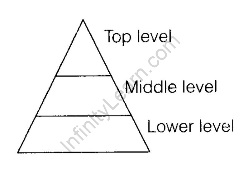 NCERT Solutions for Class 12 Business Studies Chapter 5 Organising Q4