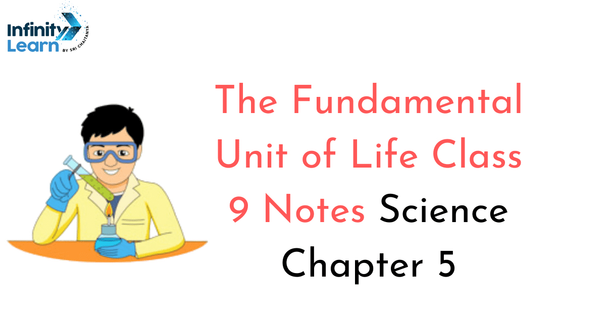 The Fundamental Unit of Life Class 9 Notes Science Chapter 5 