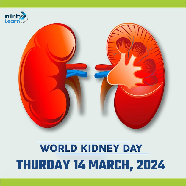 World Kidney Day 14 March, 2024 - History, Theme and Importance