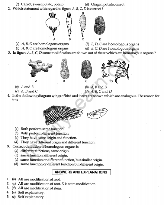  CBSE Class 10 Science sa2 Biology Practicals 