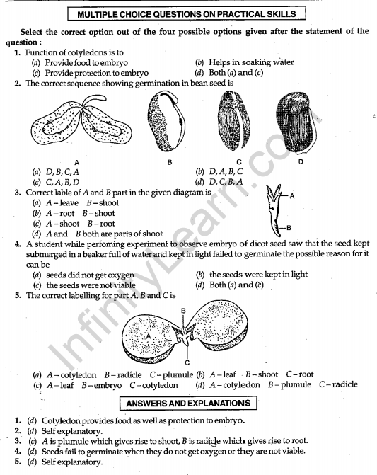  CBSE Class 10 Science sa2 Biology Practicals 