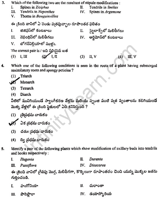 EAMCET-Botany-Model-Paper-02-LearnCBSE-02