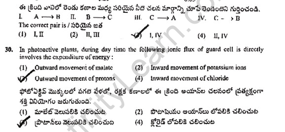 EAMCET-Botany-Model-Paper-02-LearnCBSE-14