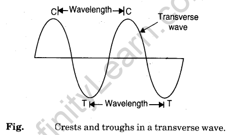 wave-motion-and-velocity-of-waves-3