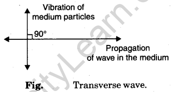wave-motion-and-velocity-of-waves-1