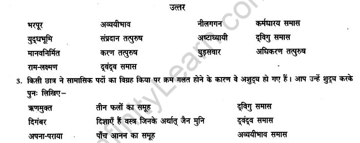 ncert-solutions-class-9th-hindi-chapter-3-samas-9