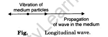 wave-motion-and-velocity-of-waves-2