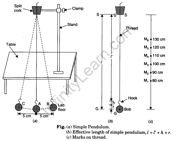 How To Find Length Of A Simple Pendulum at Bryce Lee blog