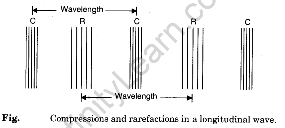 wave-motion-and-velocity-of-waves-4