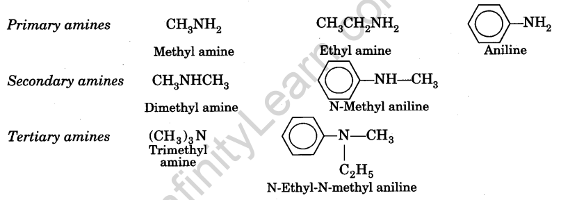 tests-for-the-functional-groups-present-in-organic-compounds-29