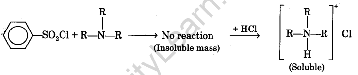 tests-for-the-functional-groups-present-in-organic-compounds-37