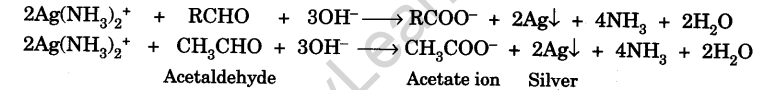 tests-for-the-functional-groups-present-in-organic-compounds-22