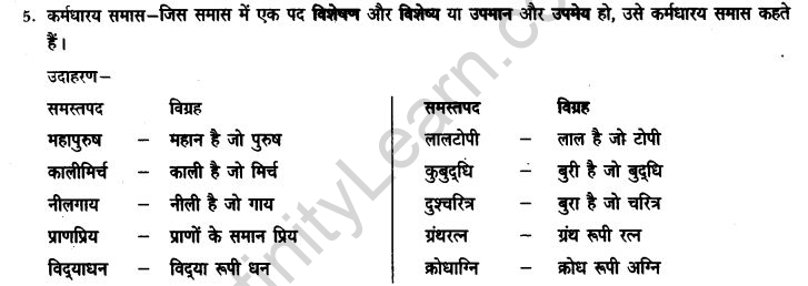 ncert-solutions-class-9th-hindi-chapter-3-samas-5