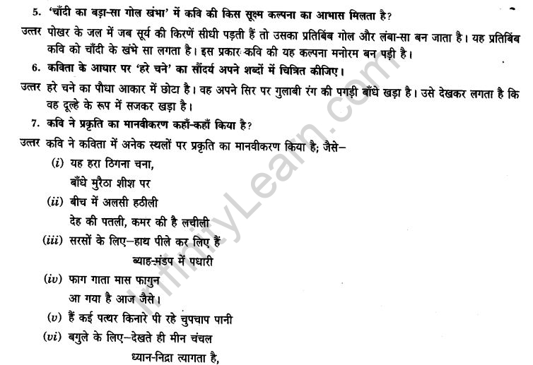 ncert-solutions-class-9th-hindi-chapter-14-chandr-gahana-se-lotati-ber-20