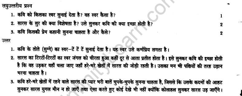 ncert-solutions-class-9th-hindi-chapter-14-chandr-gahana-se-lotati-ber-18