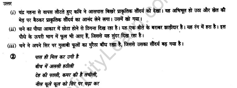 ncert-solutions-class-9th-hindi-chapter-14-chandr-gahana-se-lotati-ber-3