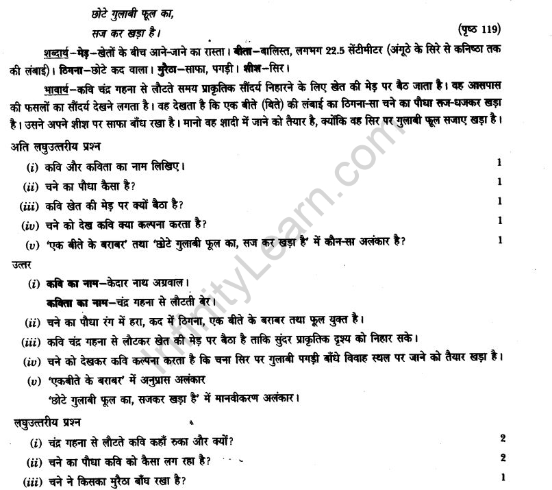 ncert-solutions-class-9th-hindi-chapter-14-chandr-gahana-se-lotati-ber-2