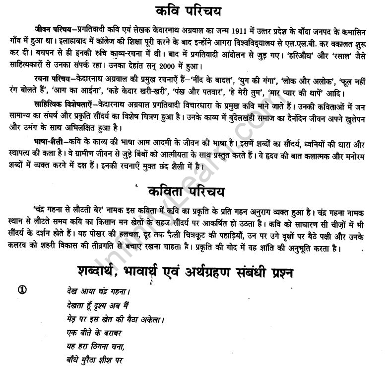 ncert-solutions-class-9th-hindi-chapter-14-chandr-gahana-se-lotati-ber-1