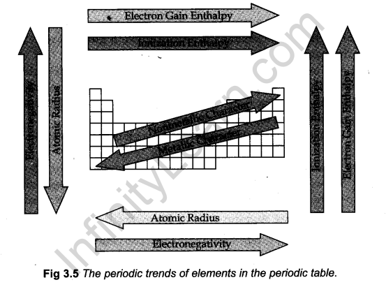 classification-of-elements-and-periodicity-in-properties-cbse-notes-for-class-11-chemistry-13