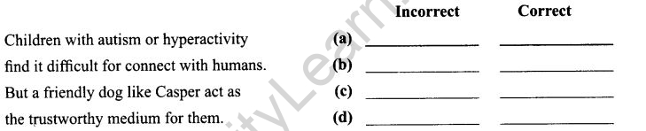 MODEL PAPER 2-6S