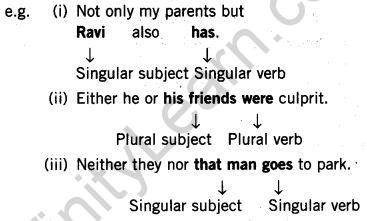 cbse-class-7-english-grammar-subject-verb-agreement-13