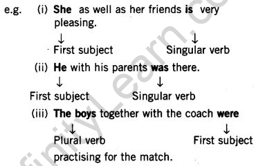 cbse-class-7-english-grammar-subject-verb-agreement-6