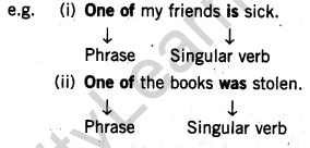 cbse-class-7-english-grammar-subject-verb-agreement-3