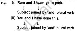 cbse-class-7-english-grammar-subject-verb-agreement-2