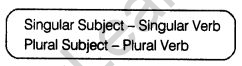 cbse-class-7-english-grammar-subject-verb-agreement-1