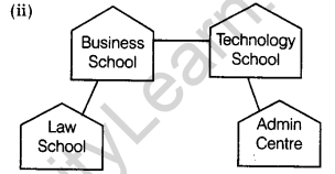 important-questions-for-class-12-computer-science-c-communication-technologies-(350-5)