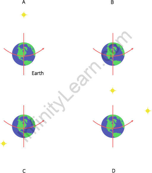 depicts the position of pole star correctly