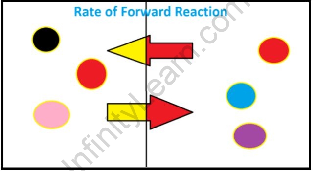 Dynamic equilibrium