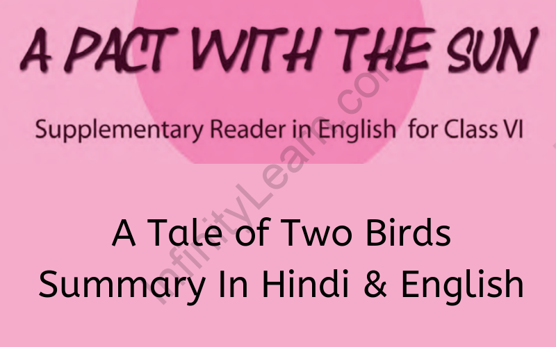 A Tale of Two Birds Summary Class 6 English