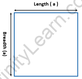 Area of a Square Formula