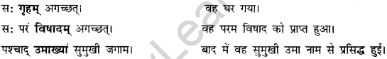 CBSE Class 11 Sanskrit कारक-उपपद विभक्तीनां प्रयोगाः 5