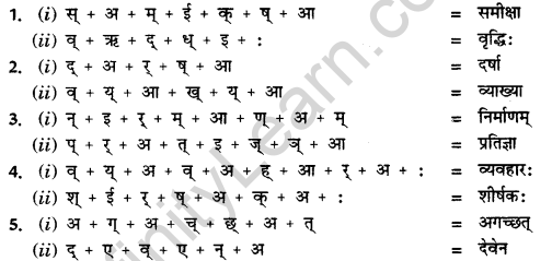 CBSE Class 11 Sanskrit वर्तनी 10