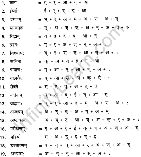 CBSE Class 11 Sanskrit वर्तनी 8