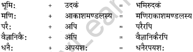 CBSE Class 12 Sanskrit व्याकरणम् सन्धि-प्रकर14