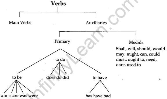 CBSE Class 6 English Grammar Verb 1